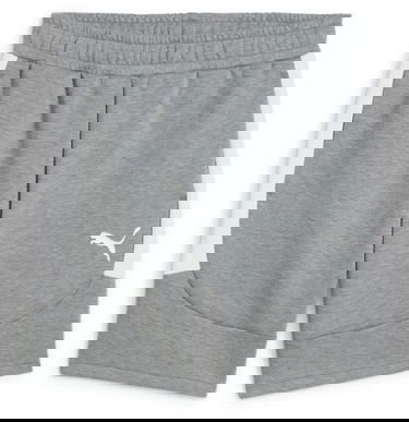Shorts Puma teamEVOSTRIPE Shorts Grå | 659951-33, 0