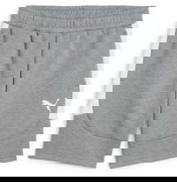 teamEVOSTRIPE Shorts