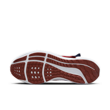 Sneakers og sko Nike Pegasus FlyEase Rød | DJ7381-601, 3