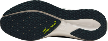Sneakers og sko Nike Pegasus 41 GORE-TEX Gul | fq1357-300, 3