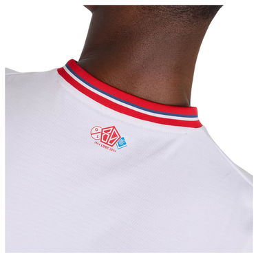 Jersey New Balance Lille LOSC Anniversaire Short Sleeve Jersey 2023/24 Hvid | mt230342-fou, 3