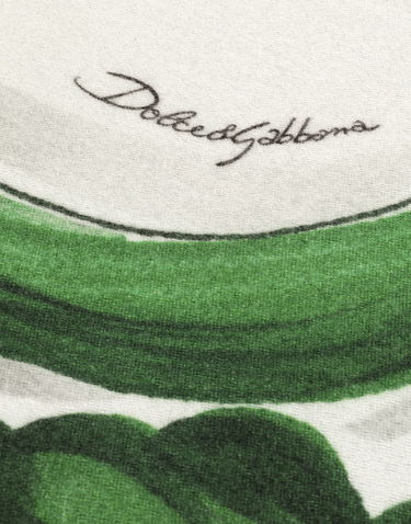 Home decor Dolce & Gabbana Dolce & Gabbana Silk And Wool Floral Scroll Blanket Grøn | TCE012TCAB6UV013, 2