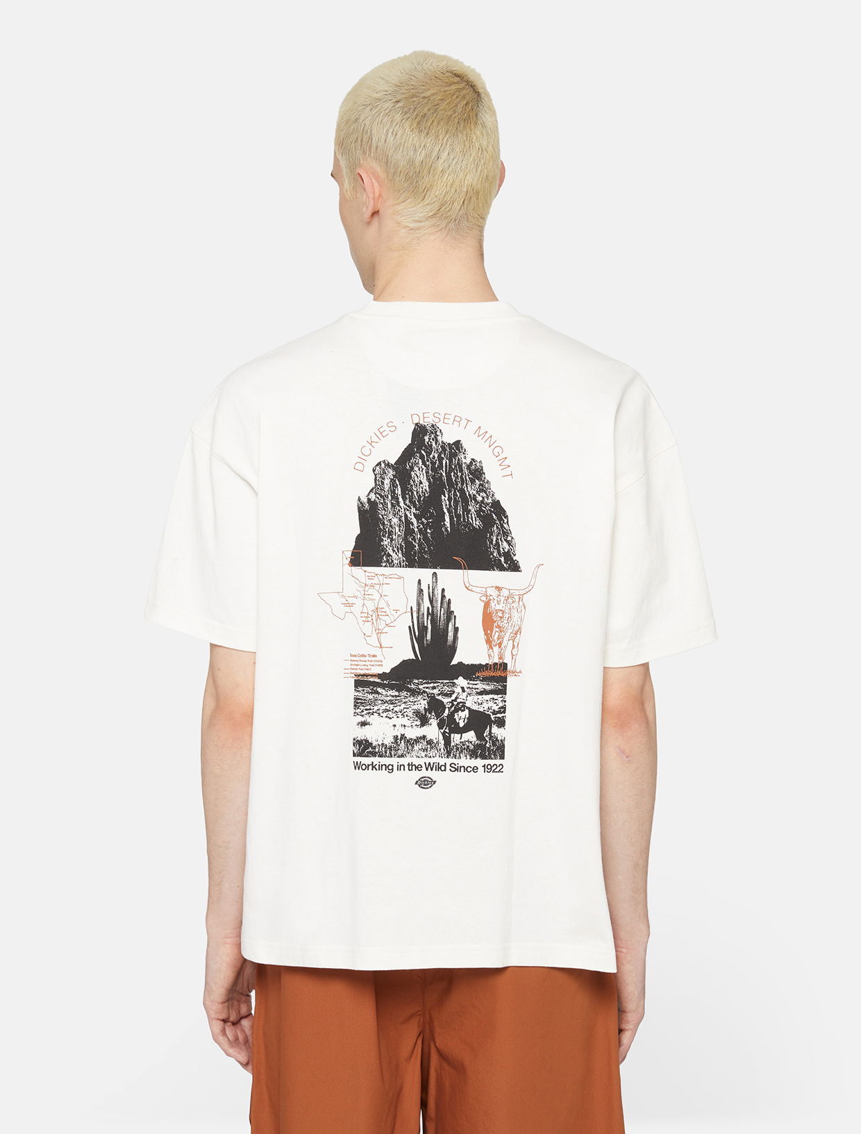 T-shirt Dickies Pearisburg T-Shirt Hvid | 0A4YRK, 0