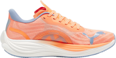 Sneakers og sko Puma Velocity NITRO 3 Orange | 377748-07, 2