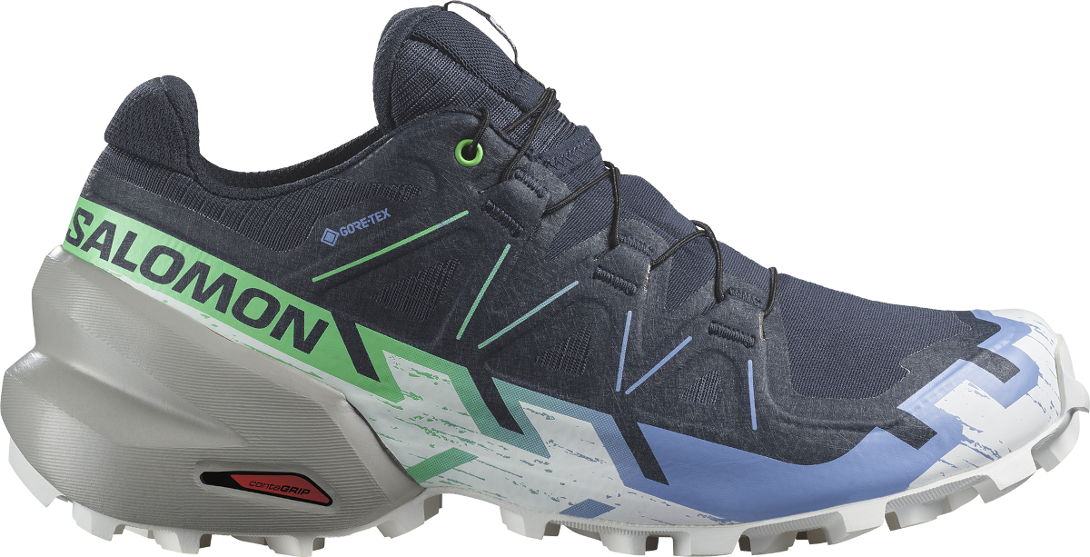 Sneakers og sko Salomon SPEEDCROSS 6 GTX W Grå | l47465900, 0