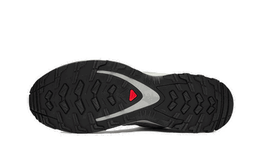 Sneakers og sko Salomon XA PRO 3D "Alloy" Grå | L41617500, 3