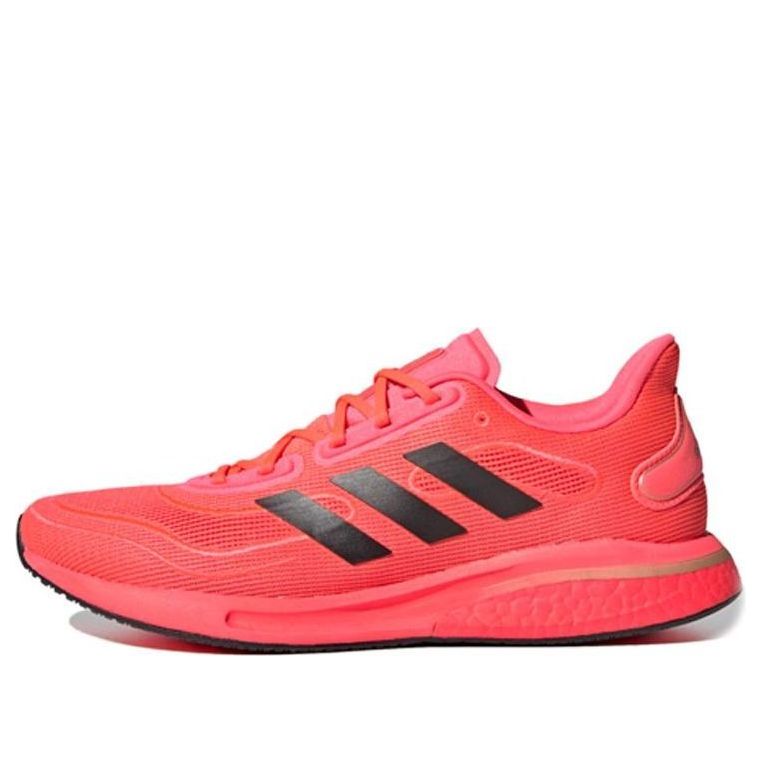 Sneakers og sko adidas Performance Supernova Rød | FV6032