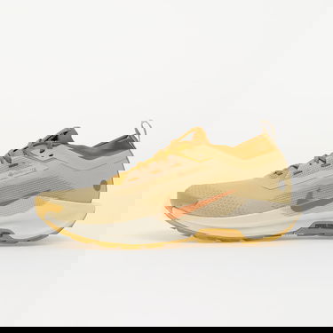 Sneakers og sko Nike React Pegasus Trail 5 GTX SP Beige | HQ7494-700, 0