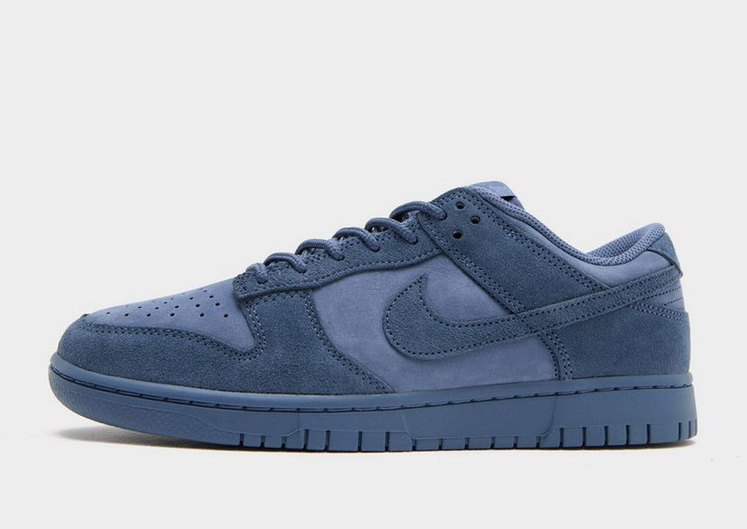 Sneakers og sko Nike Dunk Low Retro Se Nubuck Blå | IB6651-400