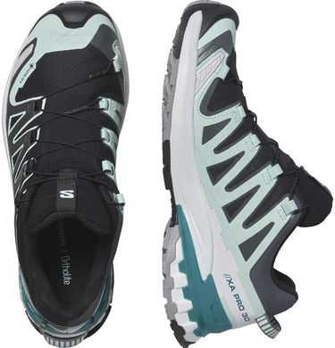 Sneakers og sko Salomon Xa Pro 3D V9 Gtx W Flerfarvet | L47119100, 3