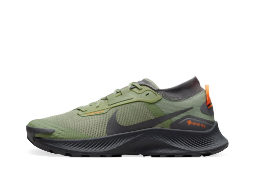 Løbe Nike Pegasus Trail 3 GTX Grøn | do6728-300