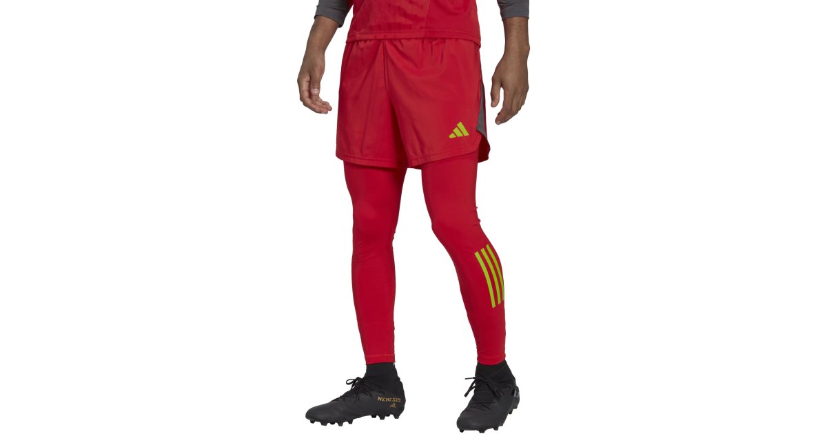 Bukser og jeans adidas Originals Tiro 23 Pro Goalie Leggings Rød | ht2420, 1