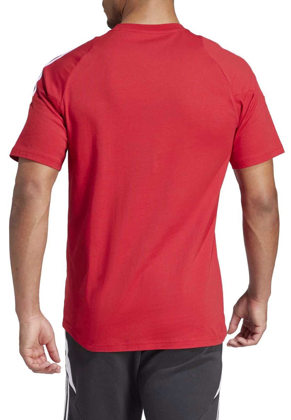 T-shirt adidas Performance adidas TIRO24 SWTEE Rød | ir9349, 1