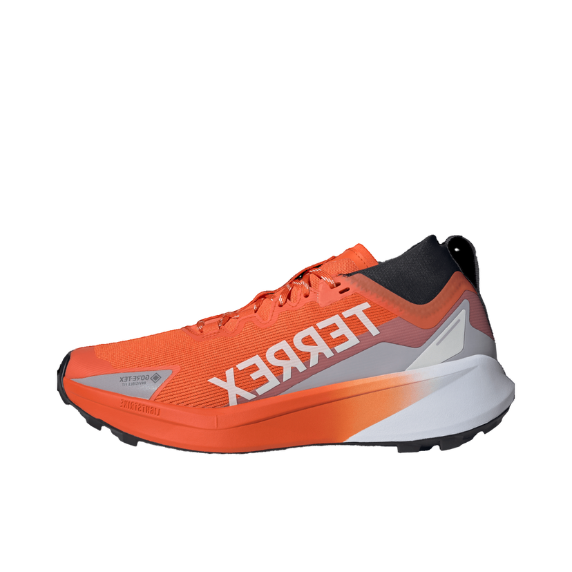 Sneakers og sko adidas Performance Terrex Agravic GTX Orange | jr5241
