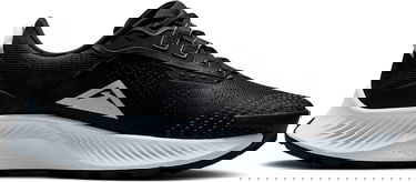 Sneakers og sko Nike Pegasus Trail 3 W Sort | da8698-001, 2
