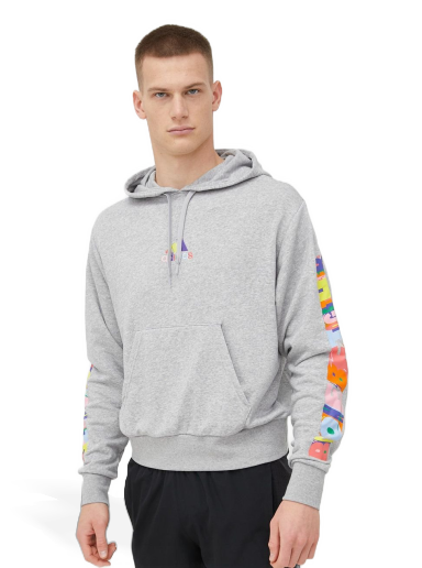Sweatshirt adidas Performance Hoodie Grå | HC4454