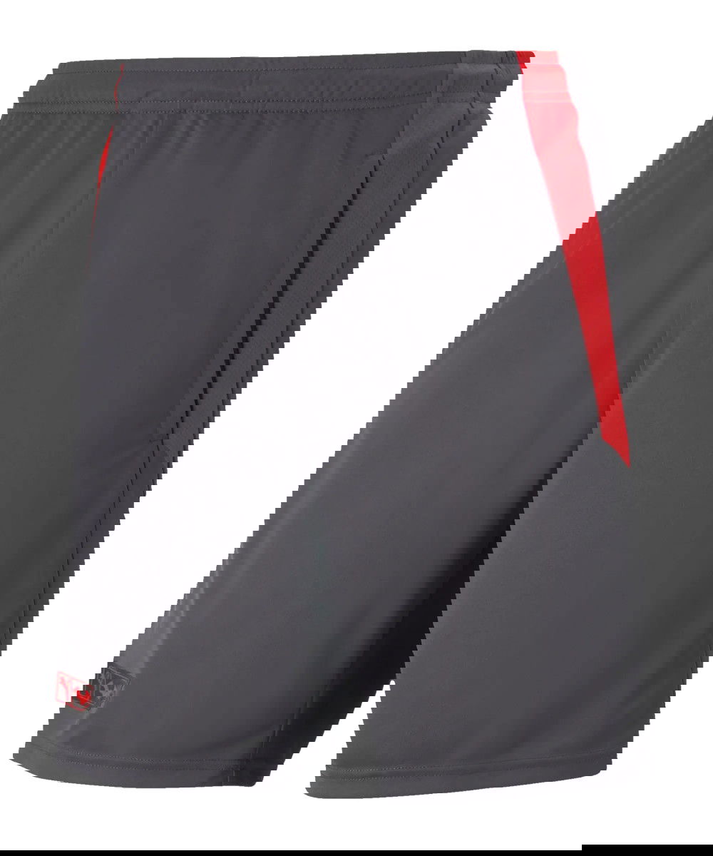 Shorts Puma Batman Athletic Shorts Grå | 65802604, 0