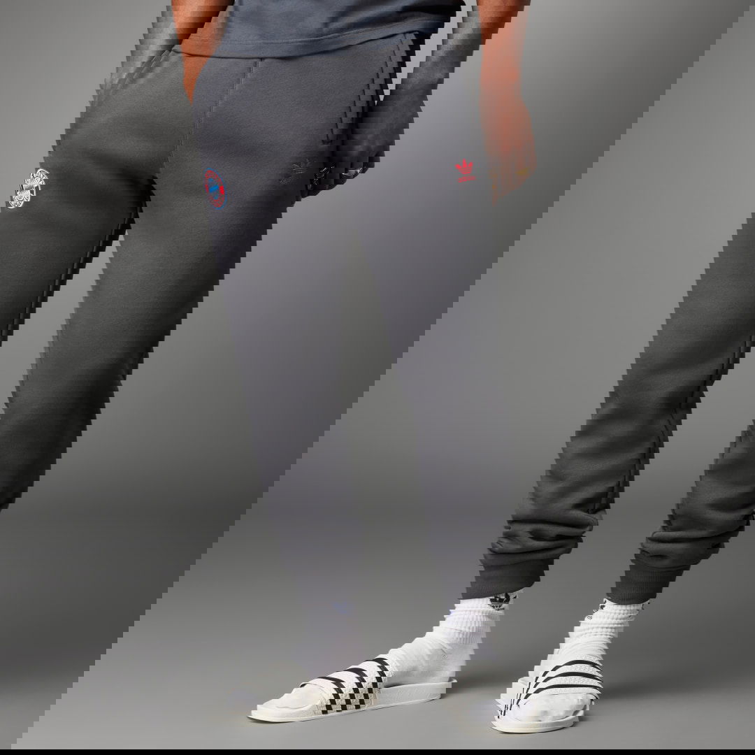 Joggingbukser adidas Performance FC Bayern Essentials Trefoil Pants Grå | IL1033, 1