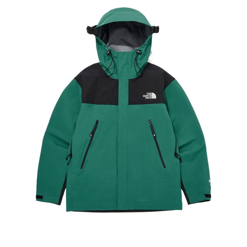Parka The North Face Gore-Tex Mountain 3L Jacket Grøn | NJ2GQ01C