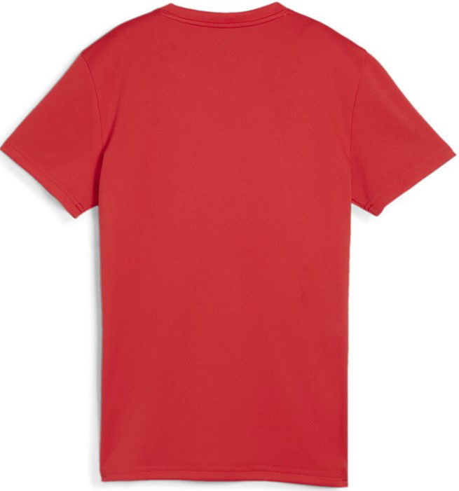 Jersey Puma teamGOAL Jersey W Rød | 658638-01, 1