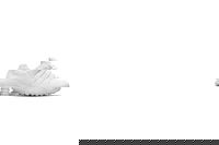 Shox NZ