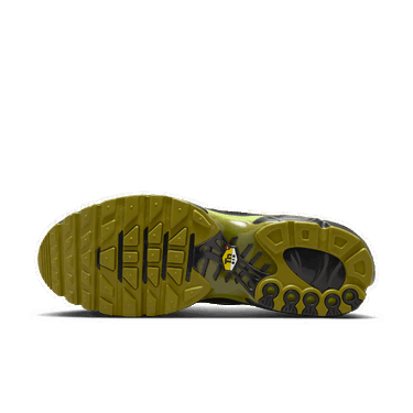 Sneakers og sko Nike Air Max Plus Sort | DM0032-010, 4