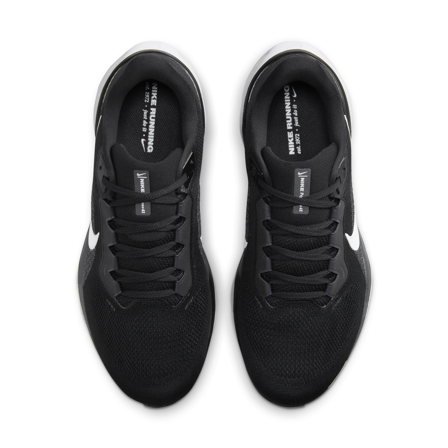 Sneakers og sko Nike Pegasus 41 Extra Wide Sort | FN4932-002, 1