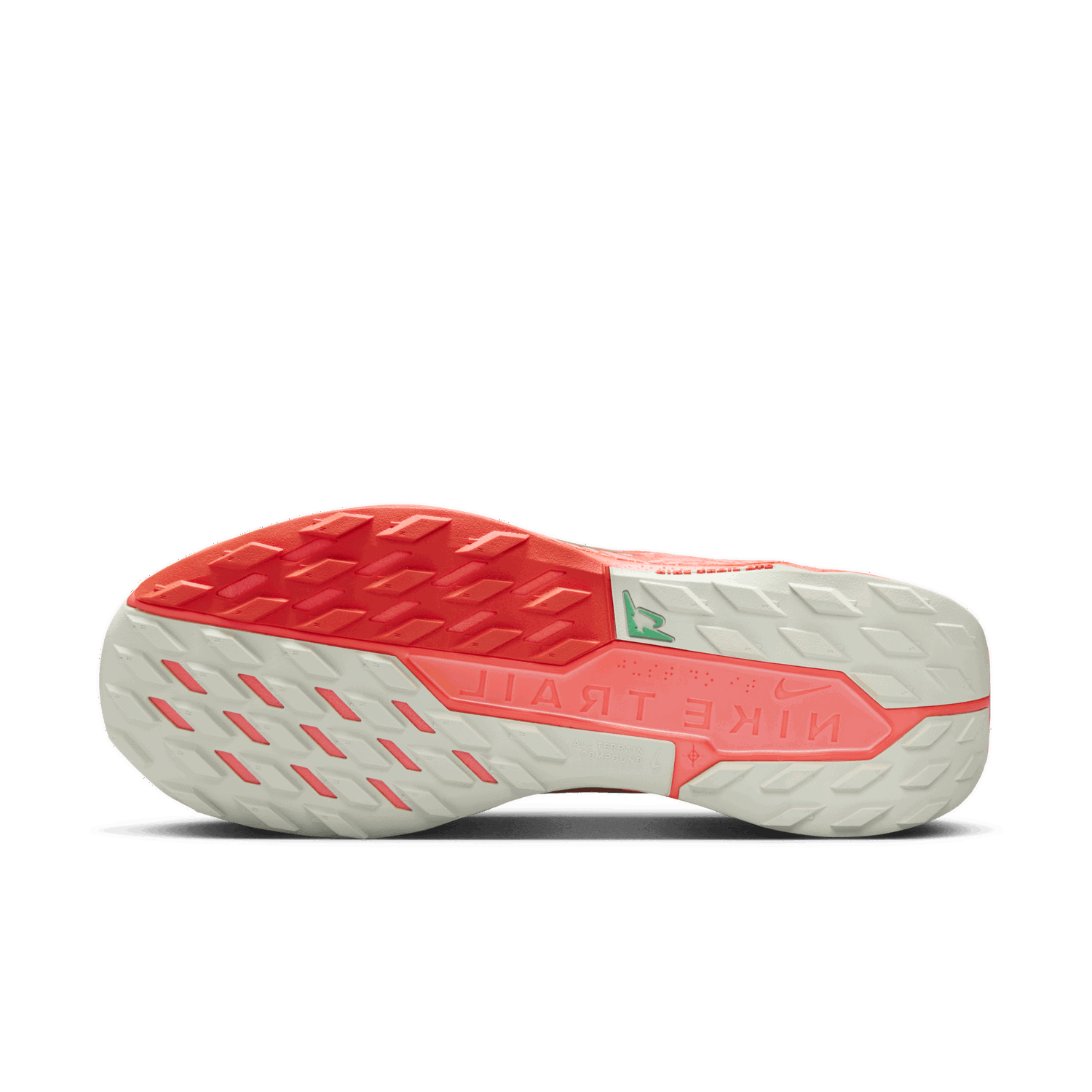 Sneakers og sko Nike Pegasus Trail 5 GORE-TEX Grå | FQ0908-004, 1