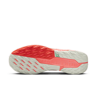 Sneakers og sko Nike Pegasus Trail 5 GORE-TEX Grå | FQ0908-004, 1