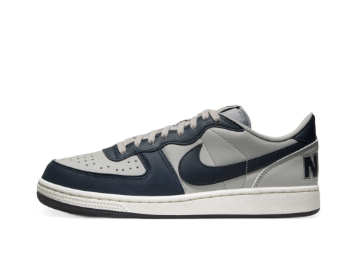 Sneakers og sko Nike Terminator Low "Georgetown" Grå | FN6830-001