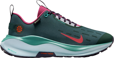 Sneakers og sko Nike InfinityRN 4 GORE-TEX Grøn | hq3128-300, 0