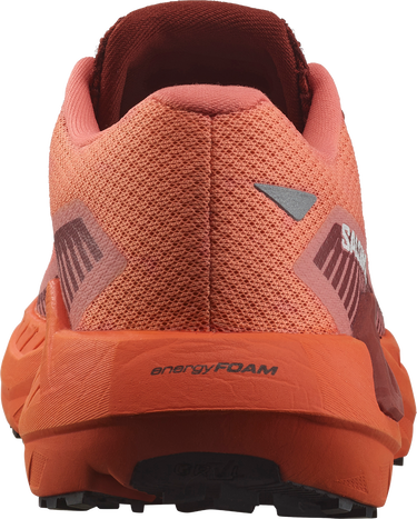 Sneakers og sko Salomon DRX DEFY GRVL W Orange | l47564300, 1