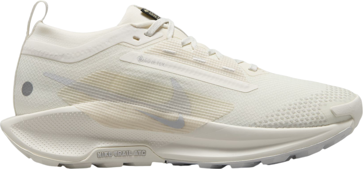 Sneakers og sko Nike Pegasus Trail 5 GORE-TEX Beige | fq0912-102, 0