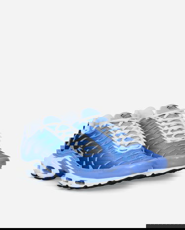 Sneakers og sko Nike Air Max Plus Royal Pulse Blå | DM0032-403, 2