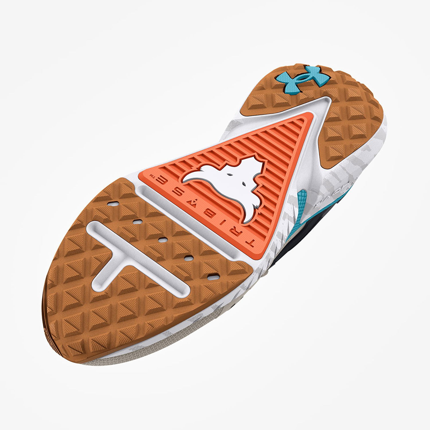 Sneakers og sko Under Armour Project Rock 5 W Grå | 3025436-101, 1