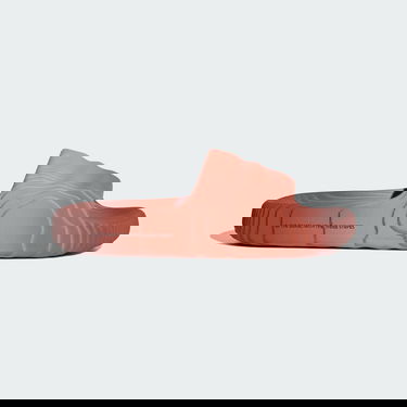 Sneakers og sko adidas Originals Adilette 22 Rød | IG7492, 1