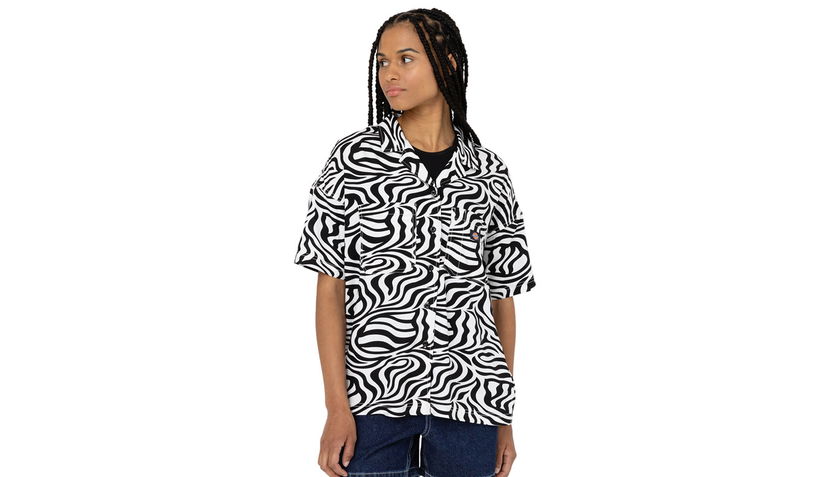 T-shirt Dickies Leesburg Cloud Zebra Flerfarvet | DK0A4Y7TF31
