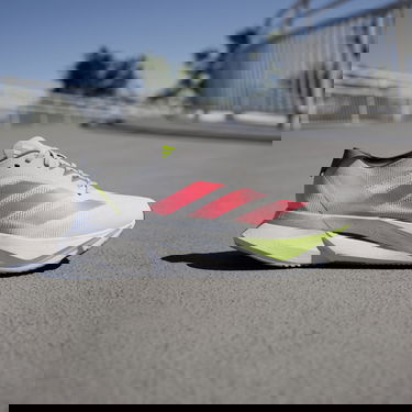 Sneakers og sko adidas Performance Adizero Boston 12 Grå | JI4473, 1