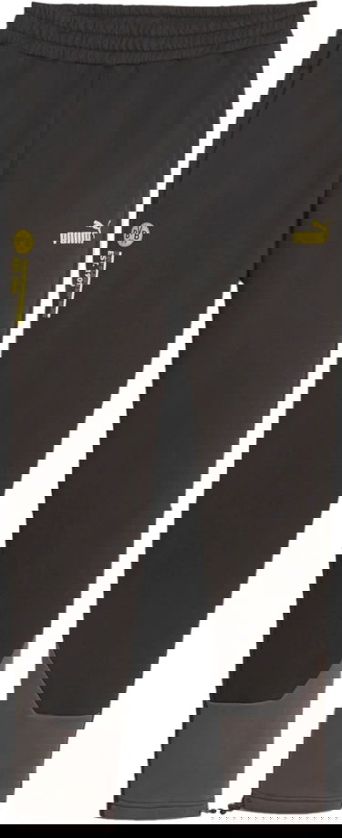 Bukser og jeans Puma BVB FtblCulture Grå | 771871-14, 0