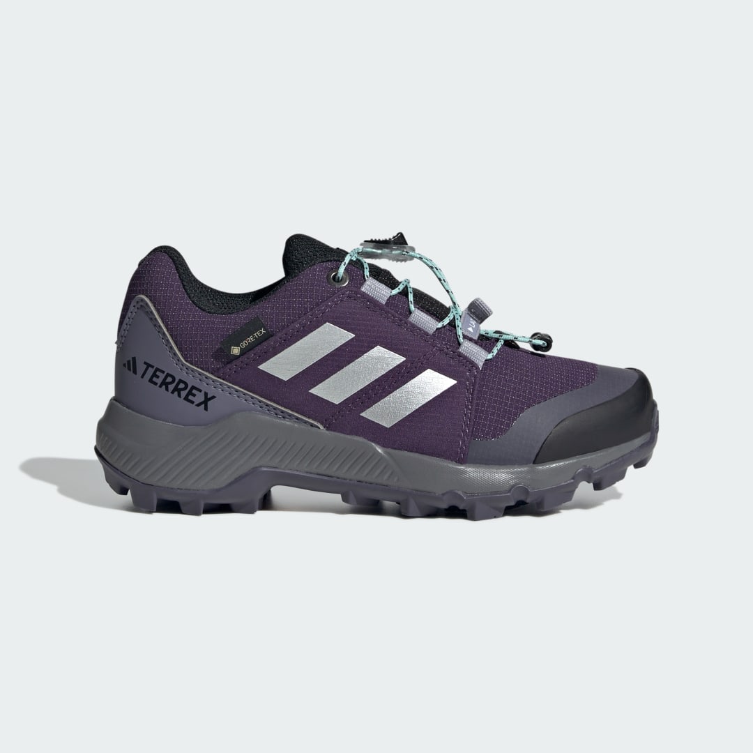 Sneakers og sko adidas Performance Terrex GORE-TEX Hiking Shoes Lilla | JS2930, 0