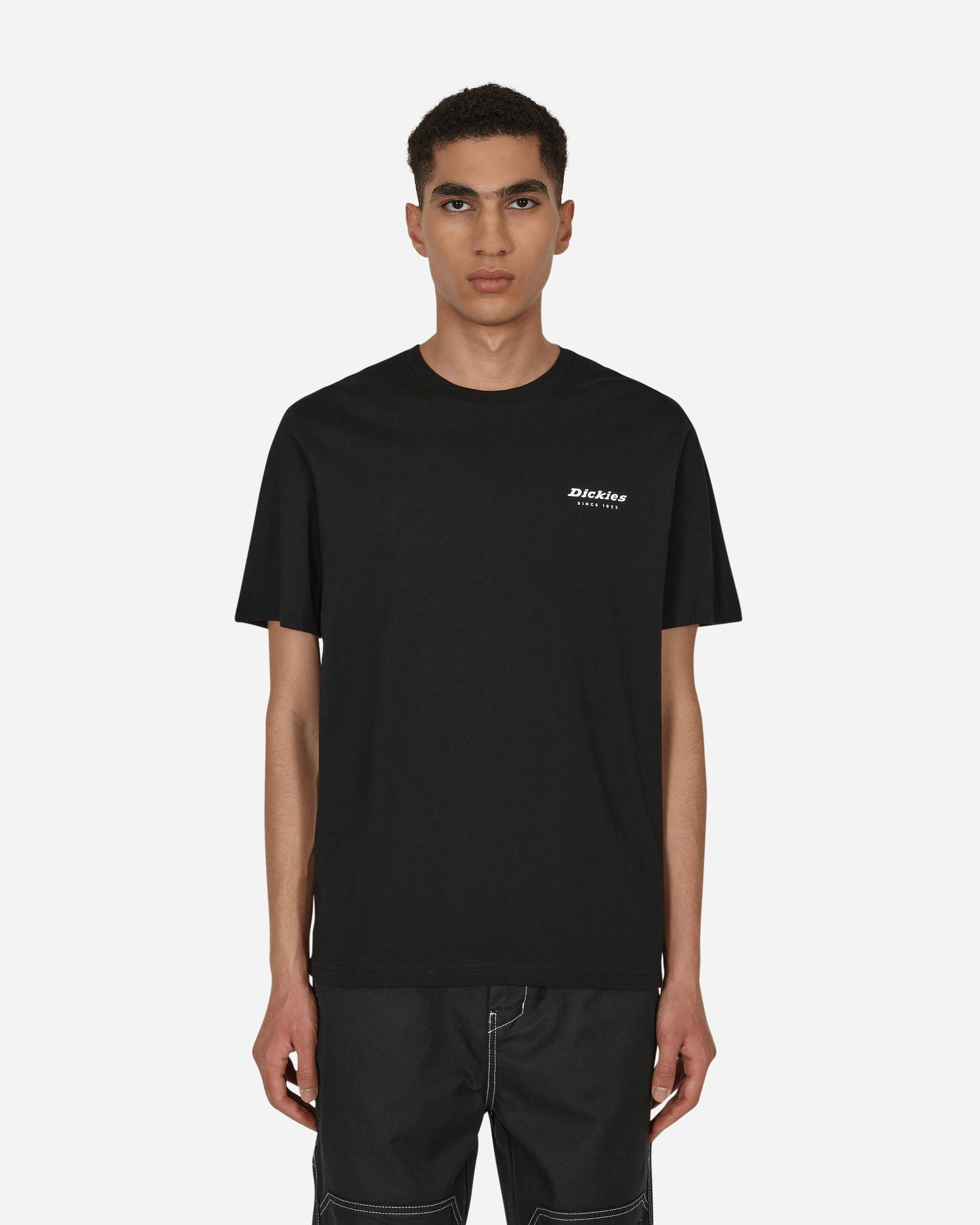 T-shirt Dickies Camden Box T-Shirt Sort | DK0A4Y1H BLK1, 0