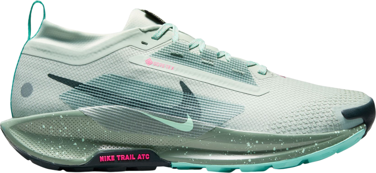 Sneakers og sko Nike Pegasus Trail 5 GORE-TEX Grøn | fq0908-013, 0