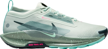 Sneakers og sko Nike Pegasus Trail 5 GORE-TEX Grøn | fq0908-013, 0