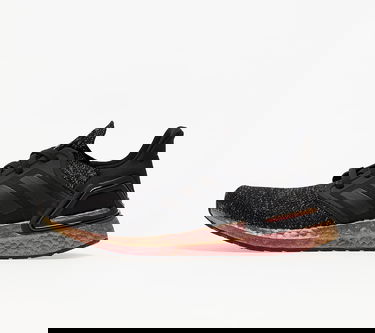 Sneakers og sko adidas Performance Ultraboost 20 W Sort | FV8340, 0