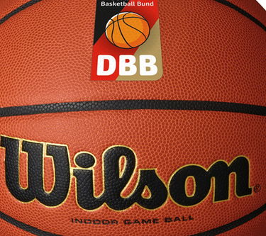 Sportsudstyr Wilson Tennis DBB EVOLUTION INDOOR GAME BALL Orange | wz1012801xb, 1