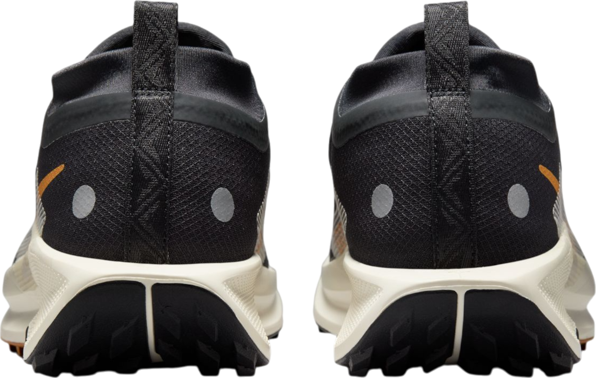 Sneakers og sko Nike Pegasus Trail 5 GORE-TEX Sort | fq0908-007, 1