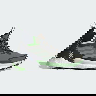 Sneakers og sko adidas Performance adidas TERREX FREE HIKER 2.0 GORE-TEX Grå | IE5127, 1