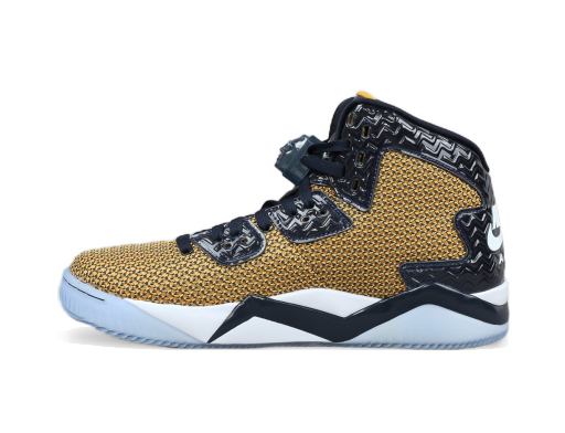 Sneakers og sko Jordan Air Jordan Spike Forty ''Dunk From Above'' Beige | 819952-706