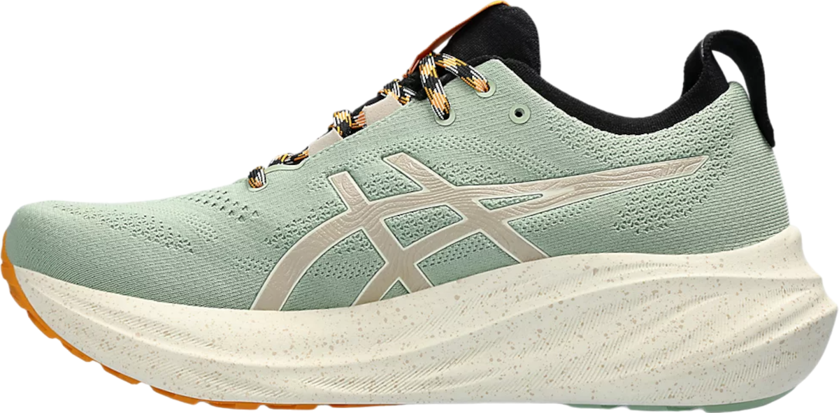 Sneakers og sko Asics GEL-NIMBUS 26 TR Grå | 1011b849-250, 1