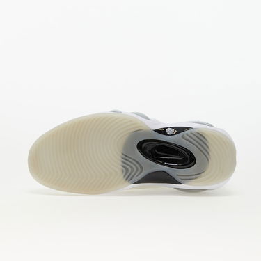 Sneakers og sko Nike Air Zoom Flight 95 Hvid | DX5505-100, 4